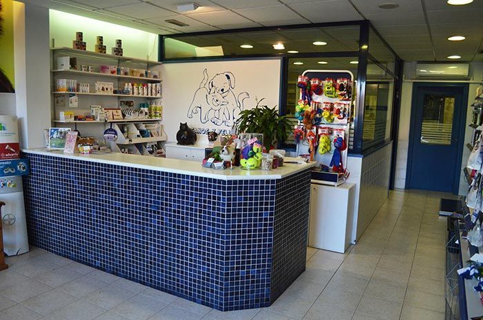 Un mostrador de azulejos azules en una clínica veterinaria.