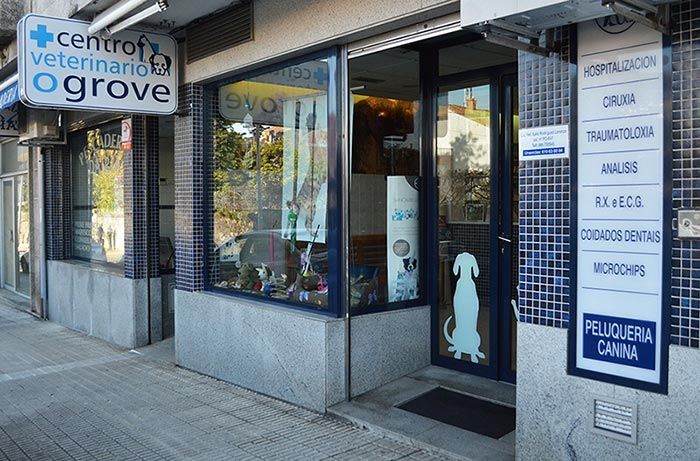 El frente de una clínica veterinaria con un perro en la ventana.