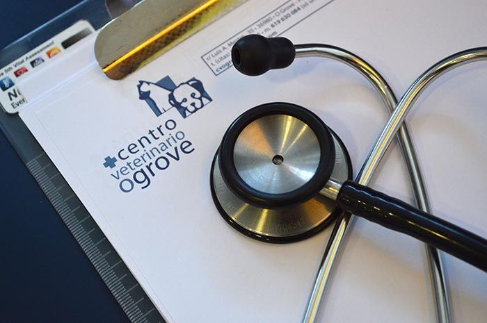 Un estetoscopio está sobre un portapapeles que dice Centro Veterinario Ogrove.