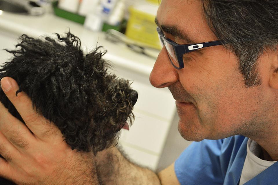 Un hombre con gafas acaricia a un pequeño perro negro.