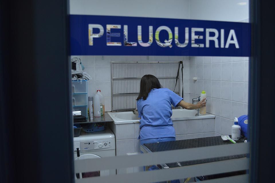 Una mujer está parada en una habitación con un cartel que dice peluqueria.