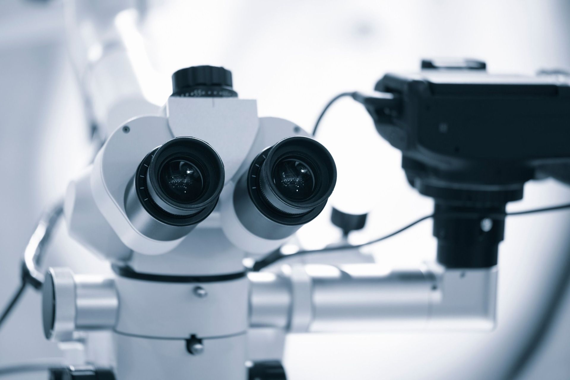 Un primer plano de un microscopio con una cámara acoplada.