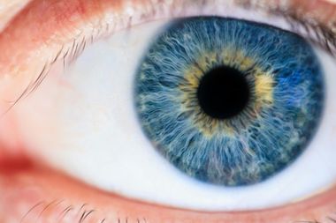 Un primer plano del ojo azul de una persona con una pupila amarilla.