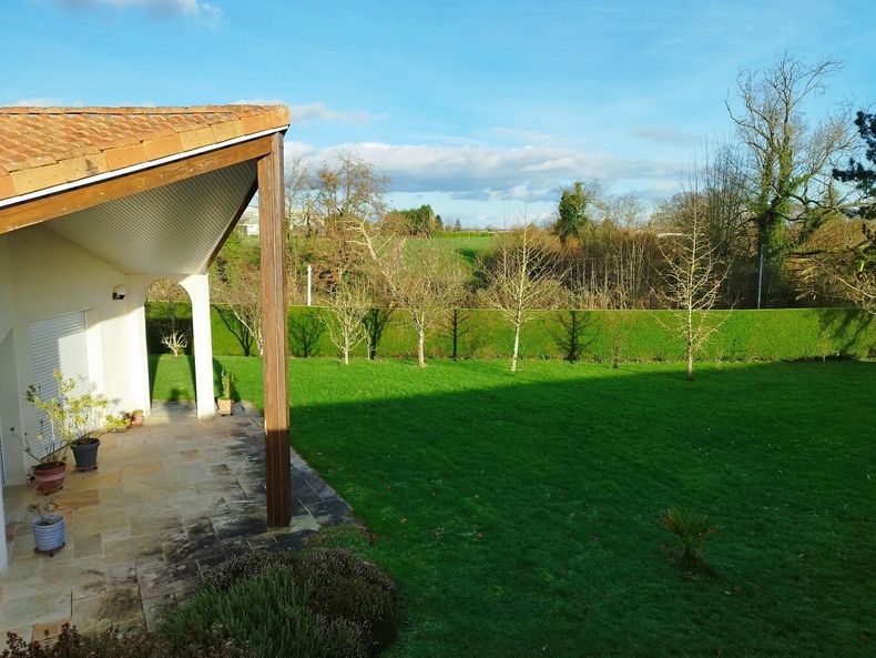 Jardin avec haies taillées
