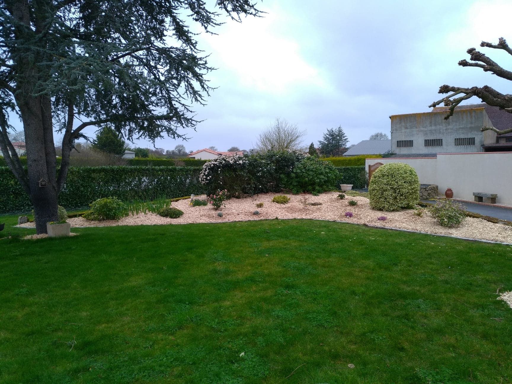 Pelouse avec massif et plantation