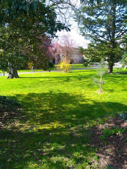 Façade de maison avec massif en pierre naturelle