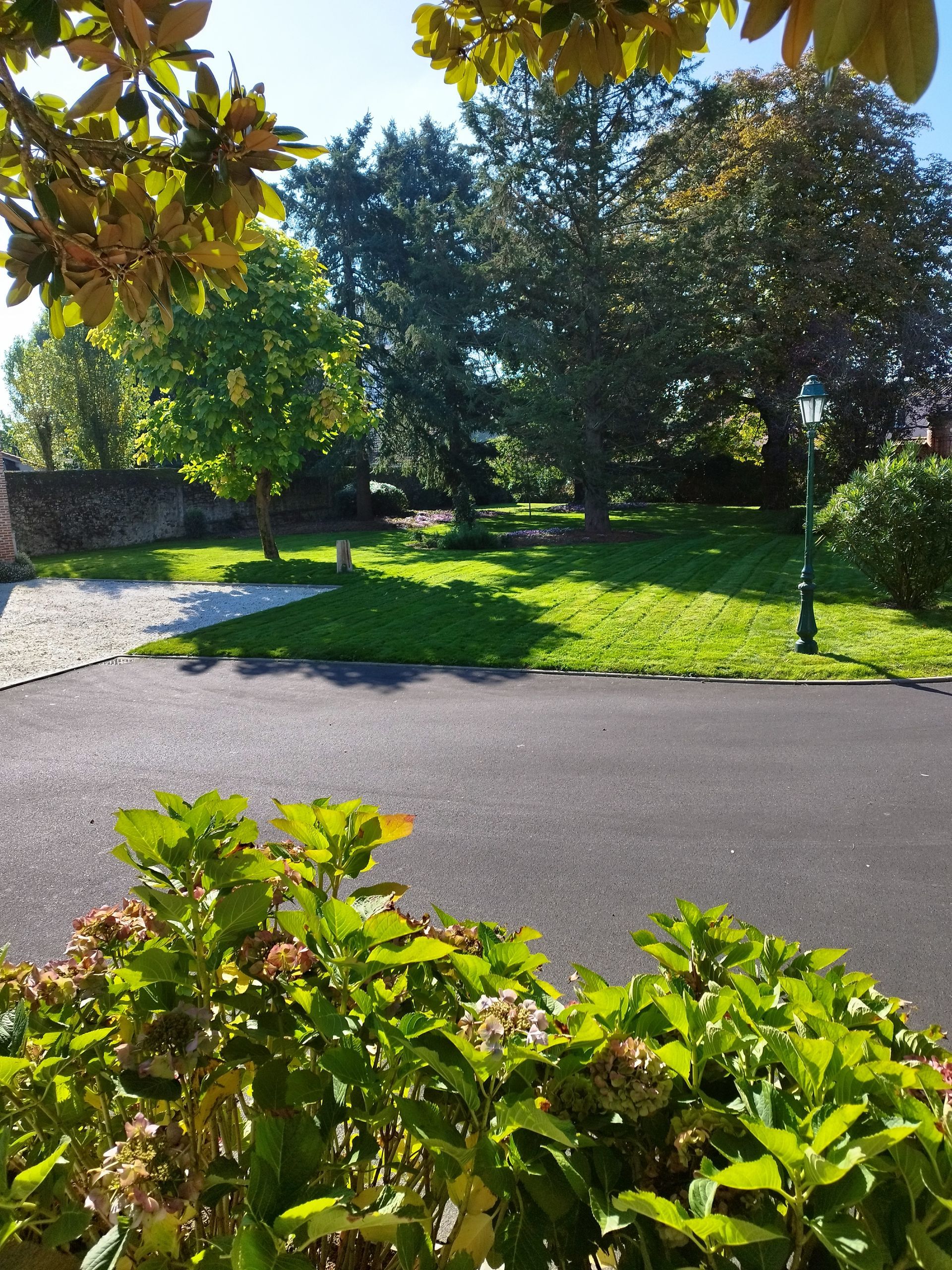 Haie taillée et pelouse tondue