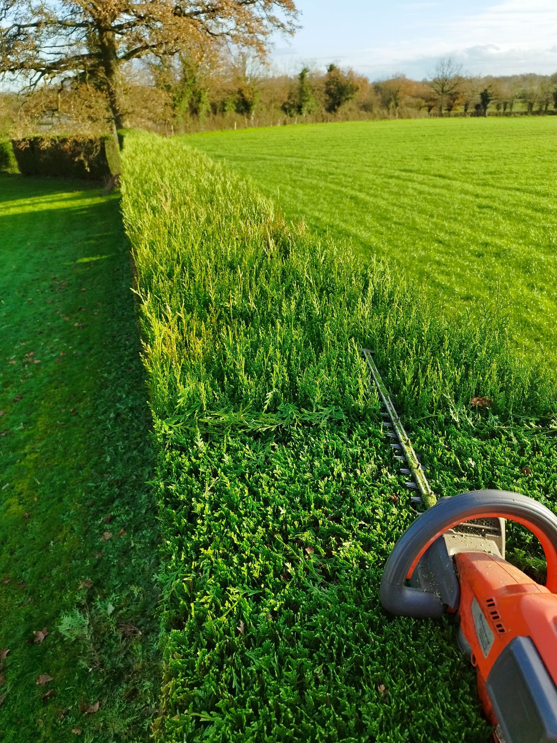 Pelouse avec un tracteur-tondeuse