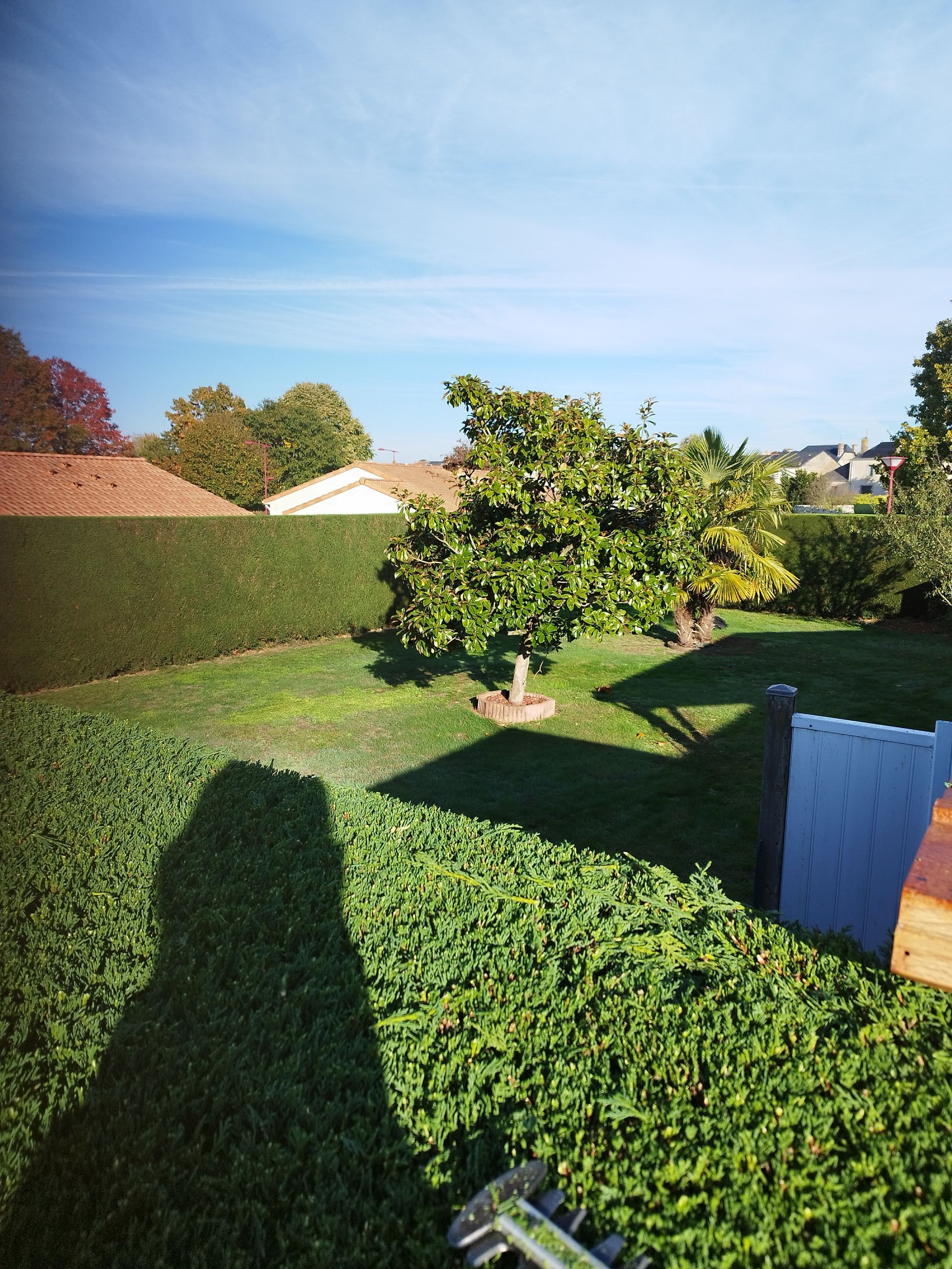 Artisan qui taille une petite haie avec un taille-haie