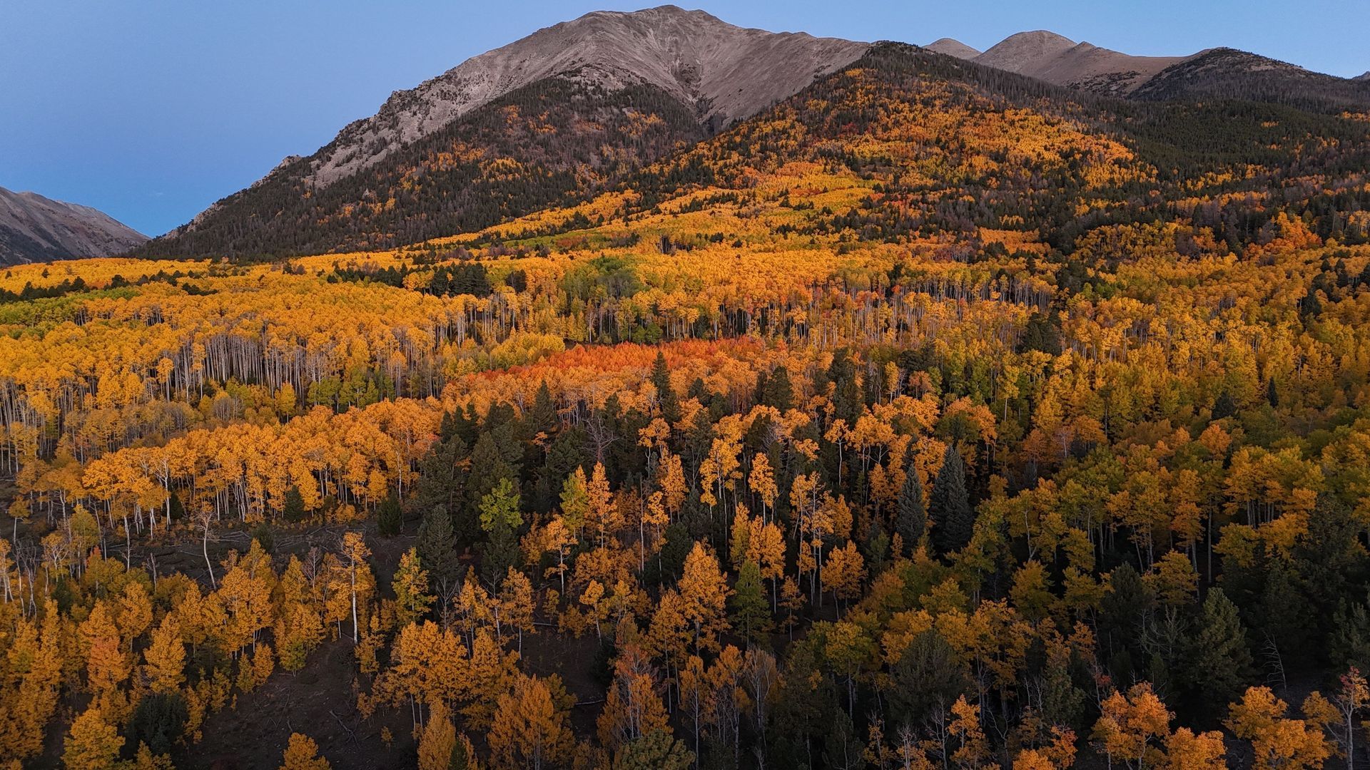 Mountain landscape with golden autumn trees beneath rocky peaks under a blue sky