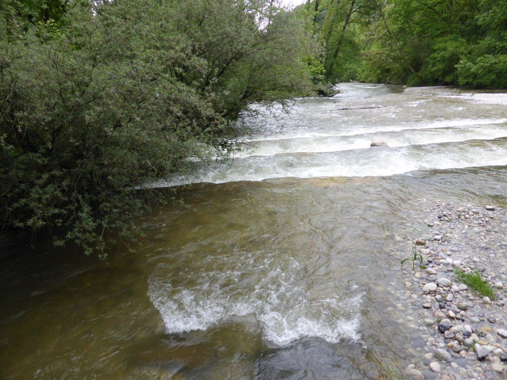EauVive
Photos d'eau
Jean Reignier