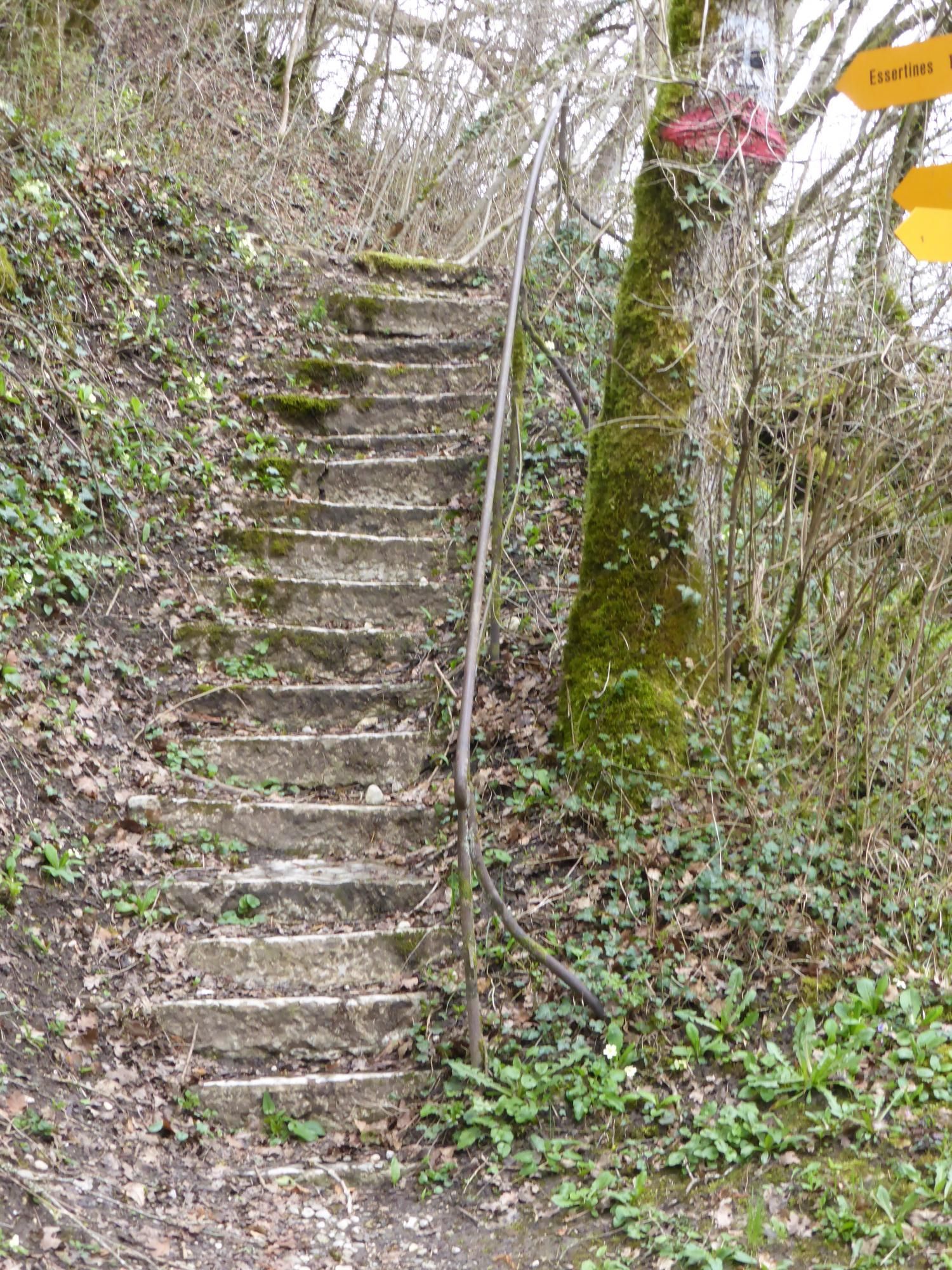 EauVive
Photos d'eau
Jean Reignier