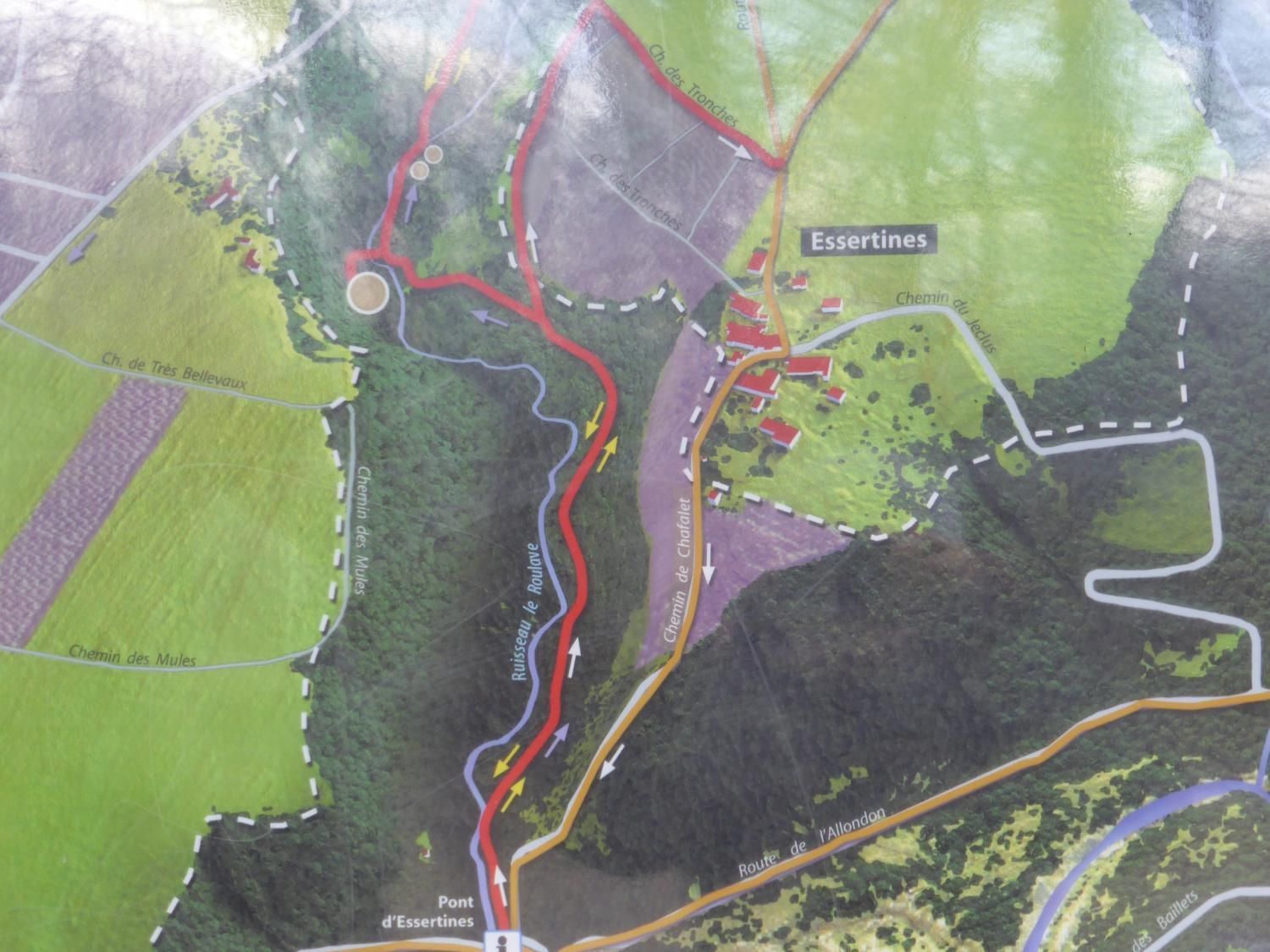 EauVive
Photos d'eau
Jean Reignier