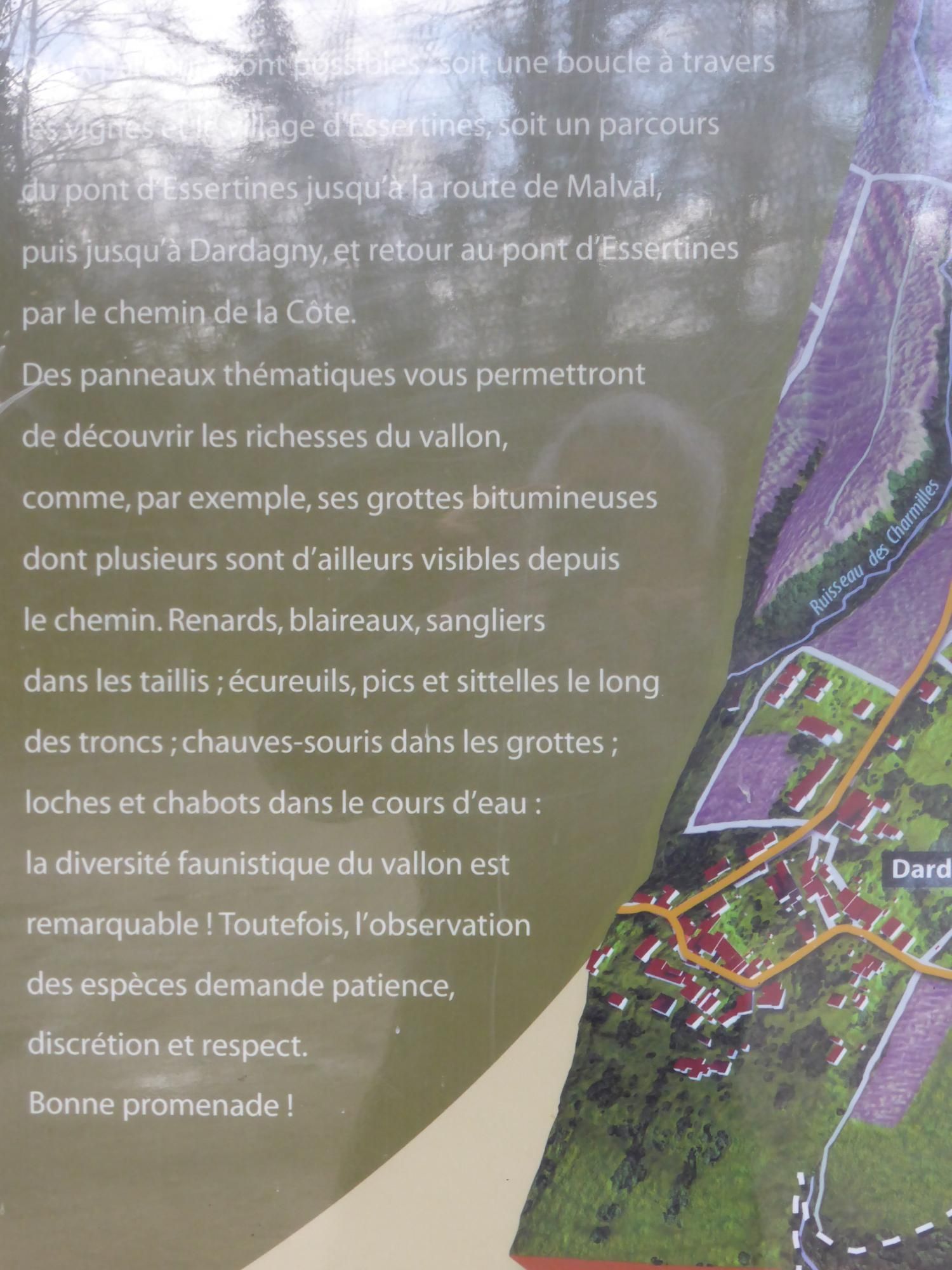 EauVive
Photos d'eau
Jean Reignier