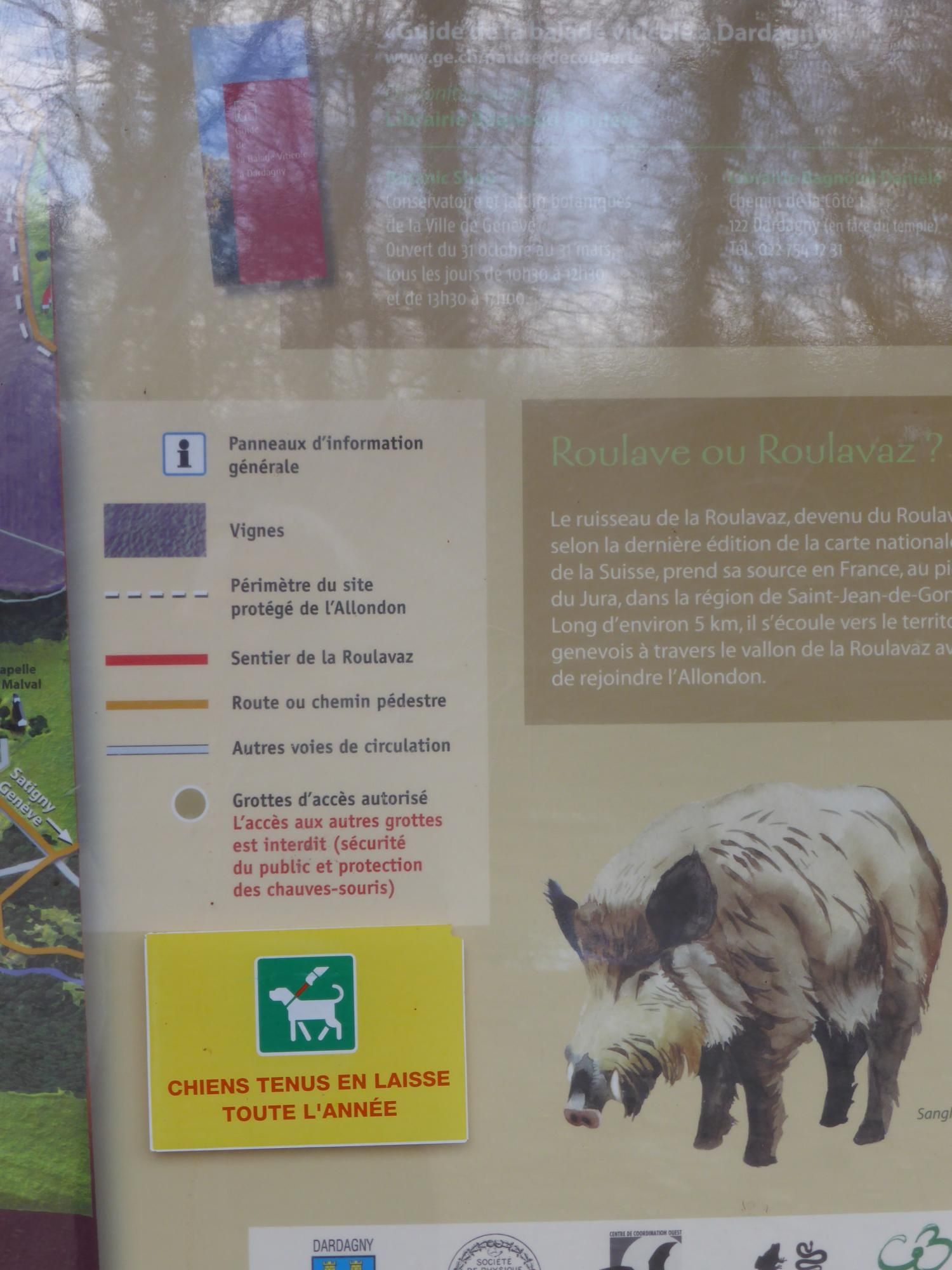 EauVive
Photos d'eau
Jean Reignier