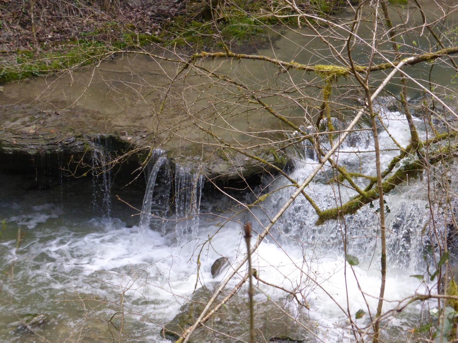 EauVive
Photos d'eau
Jean Reignier