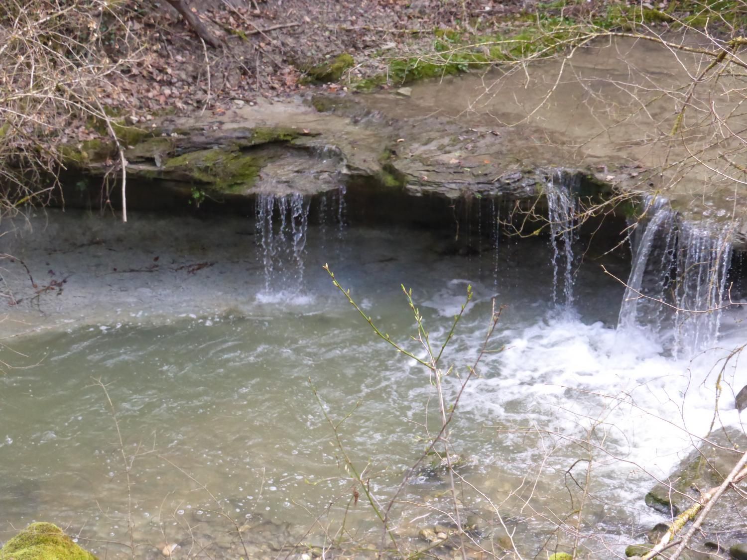 EauVive
Photos d'eau
Jean Reignier
