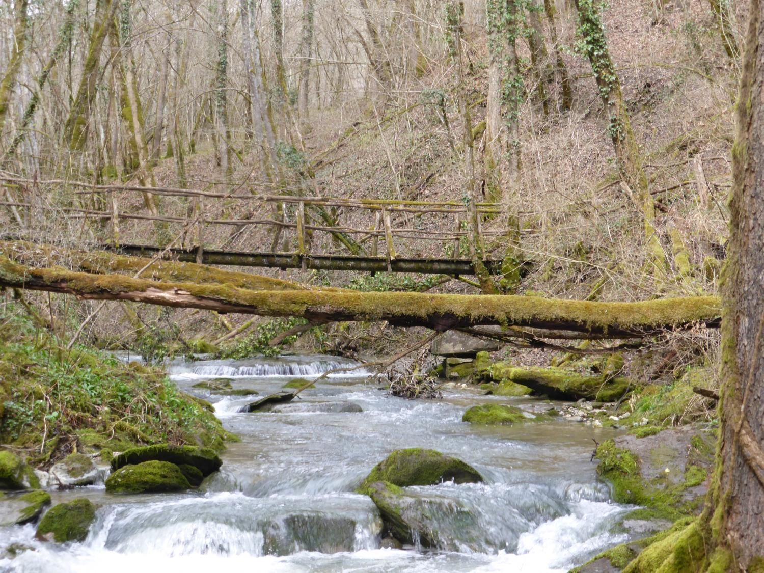 EauVive
Photos d'eau
Jean Reignier