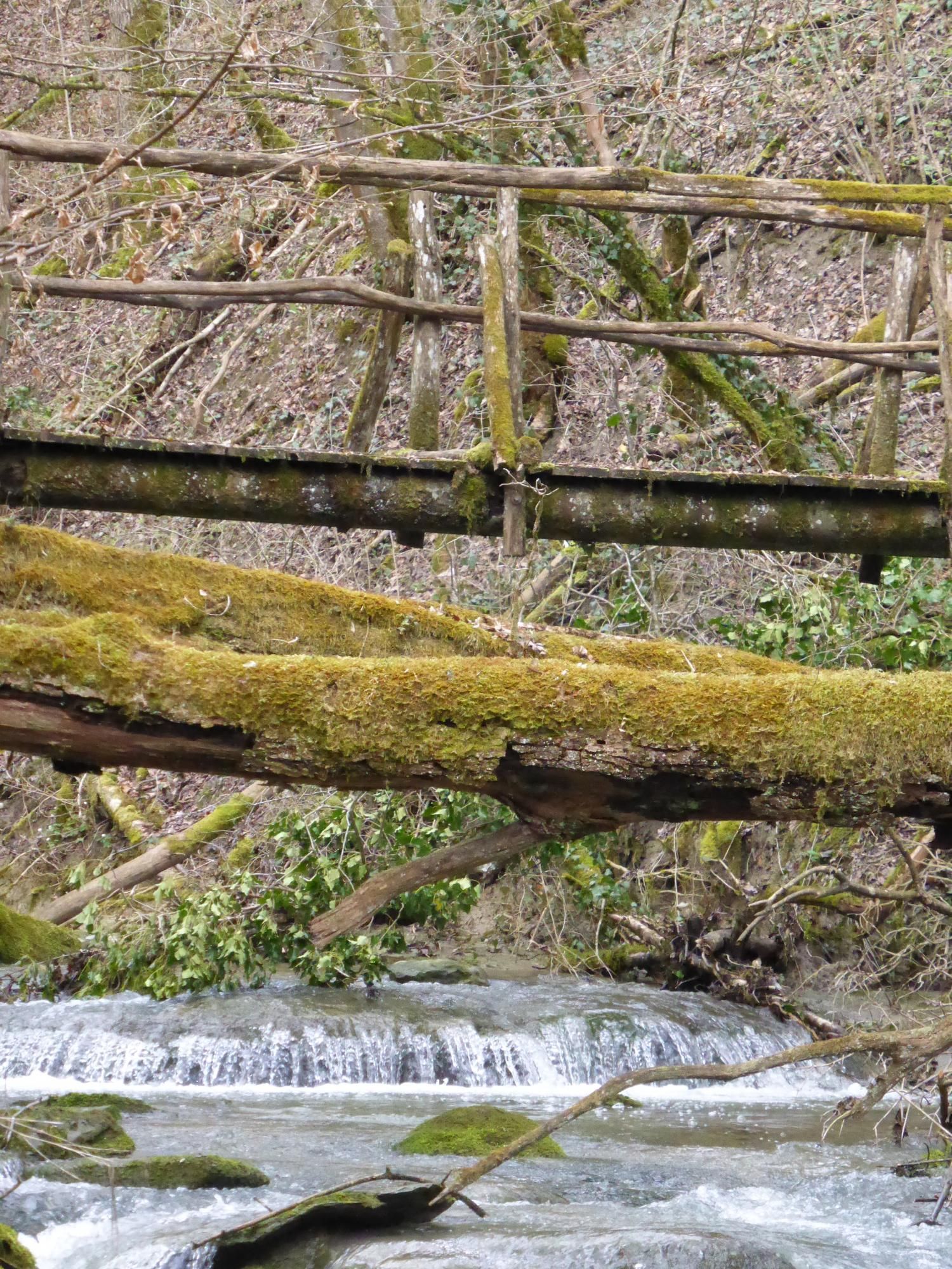 EauVive
Photos d'eau
Jean Reignier