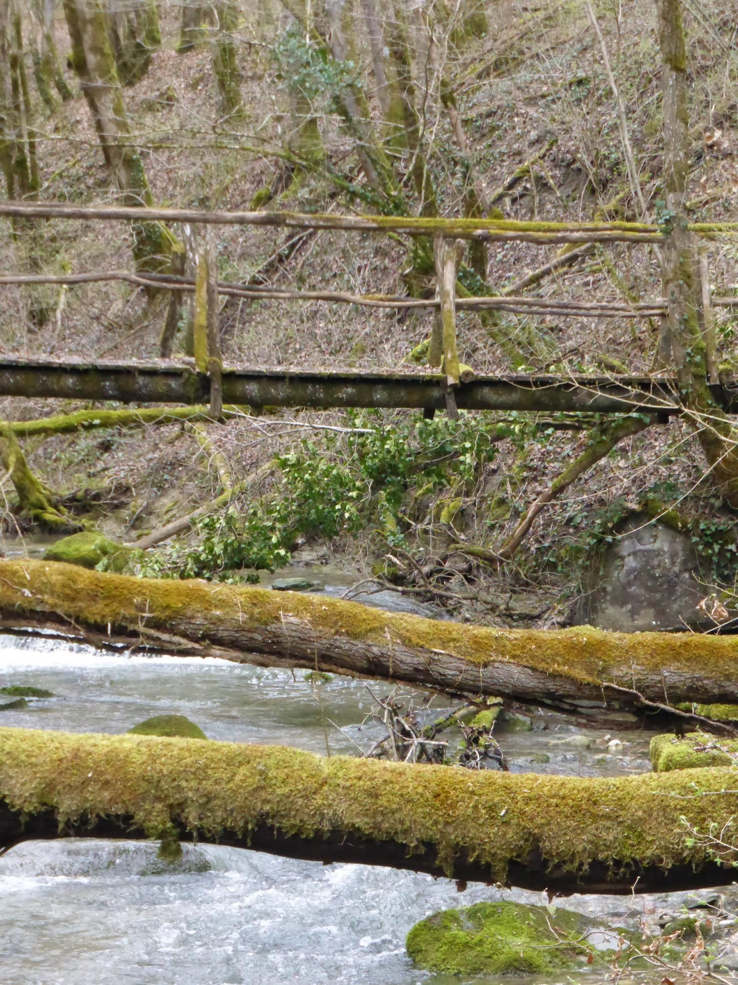 EauVive
Photos d'eau
Jean Reignier