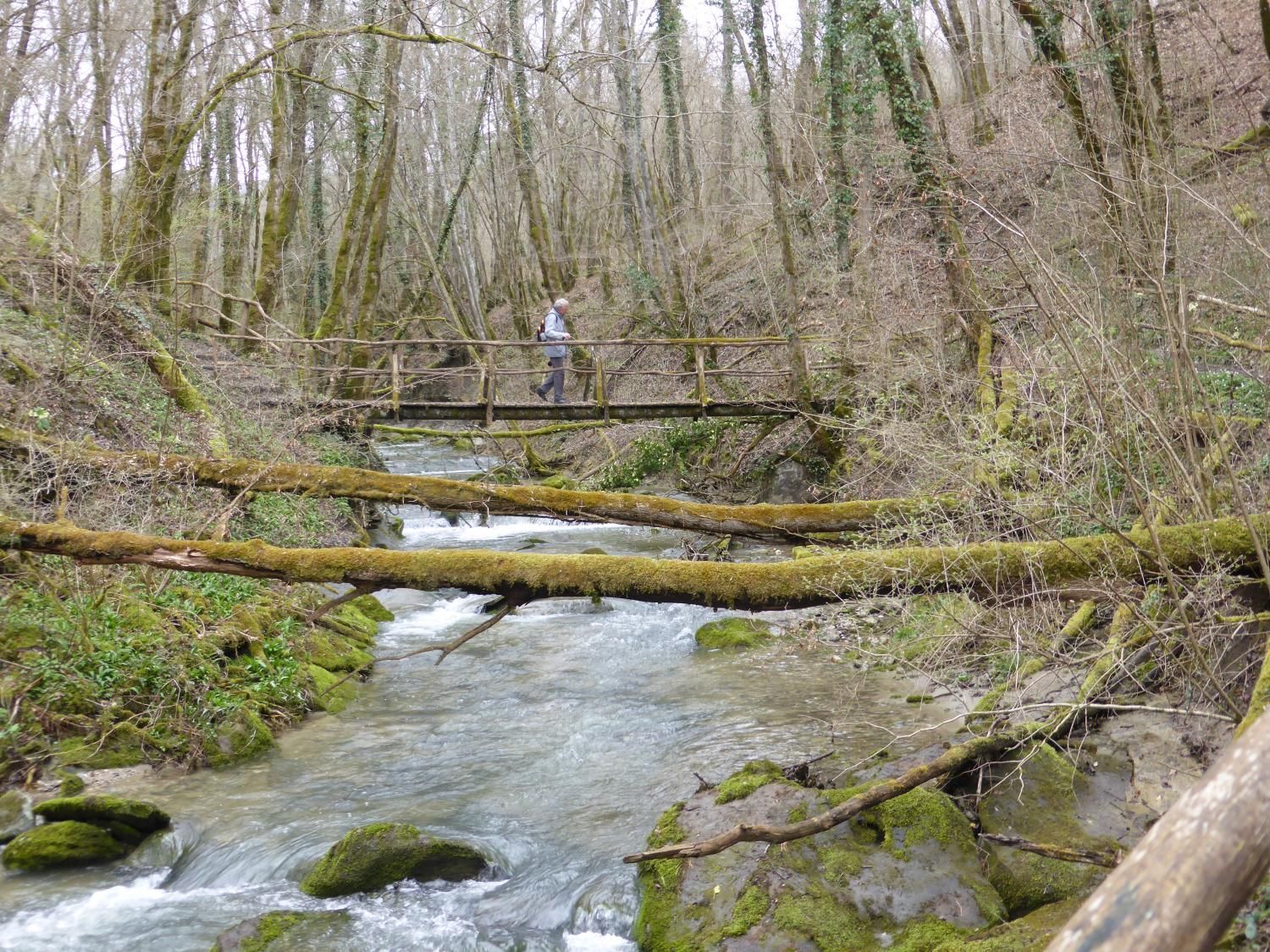 EauVive
Photos d'eau
Jean Reignier