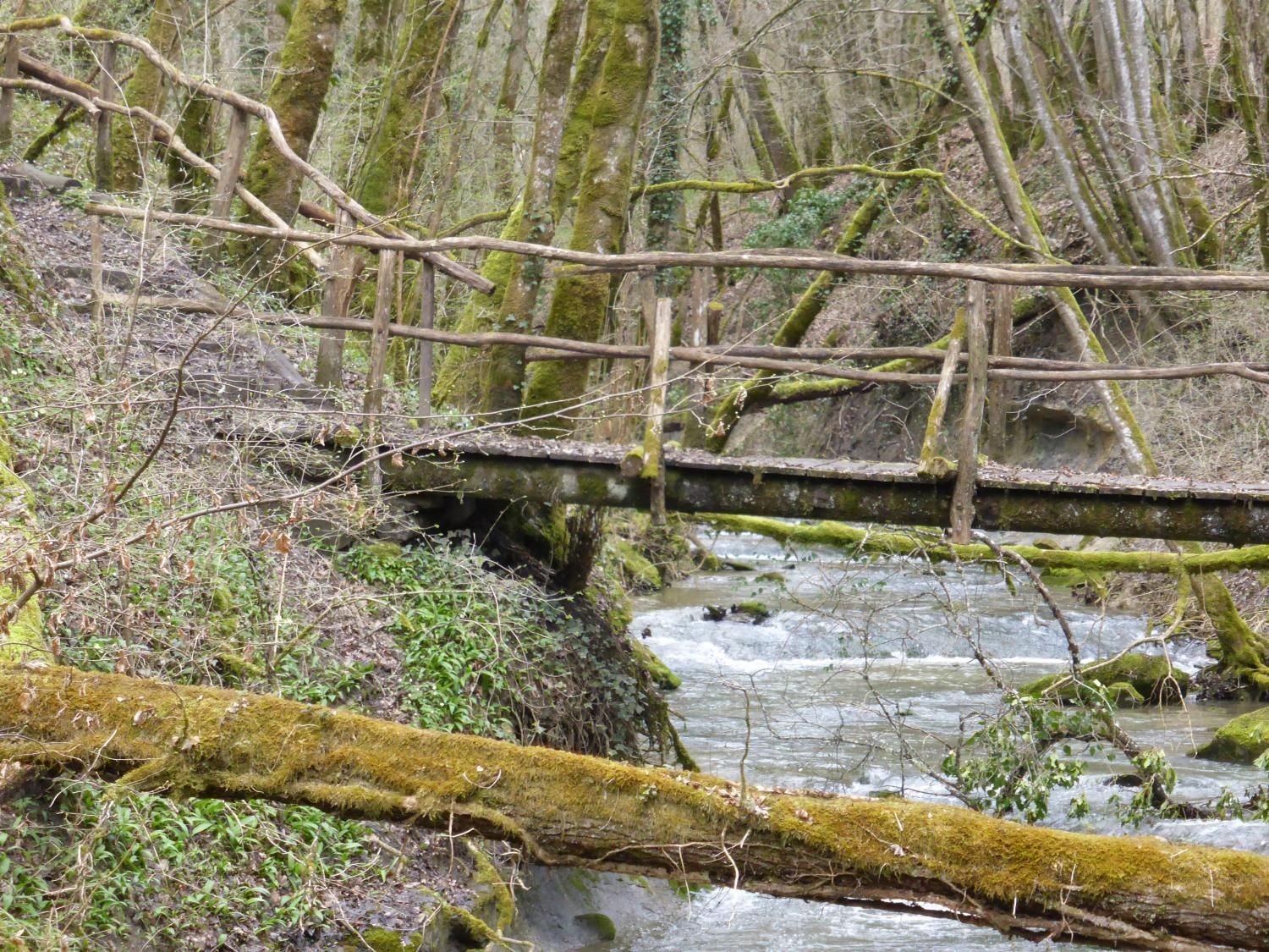 EauVive
Photos d'eau
Jean Reignier