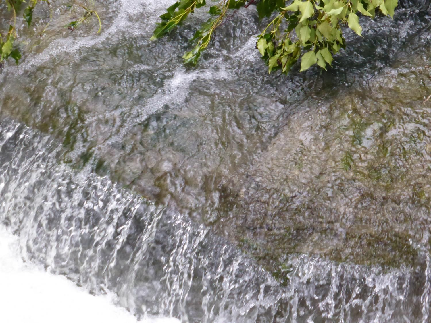 EauVive
Photos d'eau
Jean Reignier