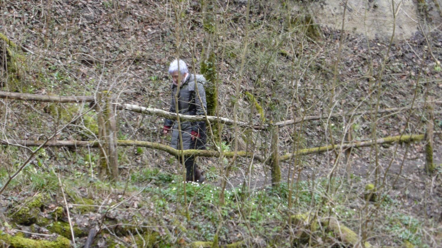 EauVive
Photos d'eau
Jean Reignier