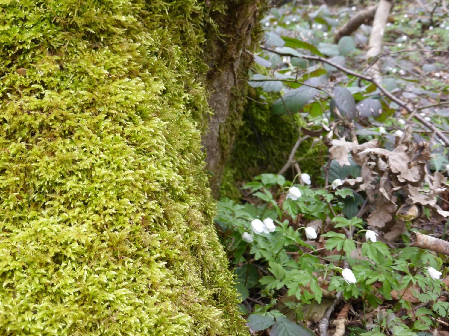 EauVive
Photos d'eau
Jean Reignier