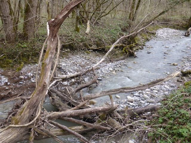 EauVive
Photos d'eau
Jean Reignier