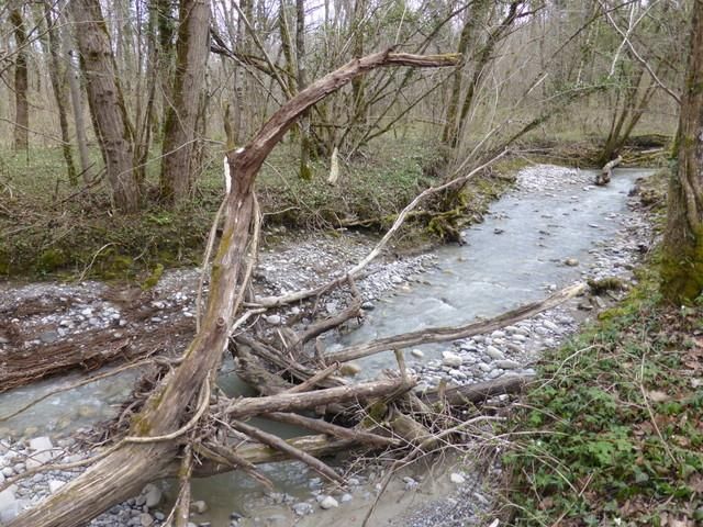 EauVive
Photos d'eau
Jean Reignier