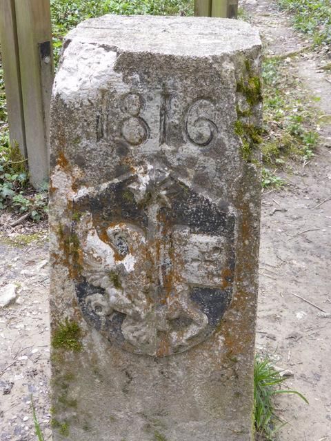 EauVive
Photos d'eau
Jean Reignier