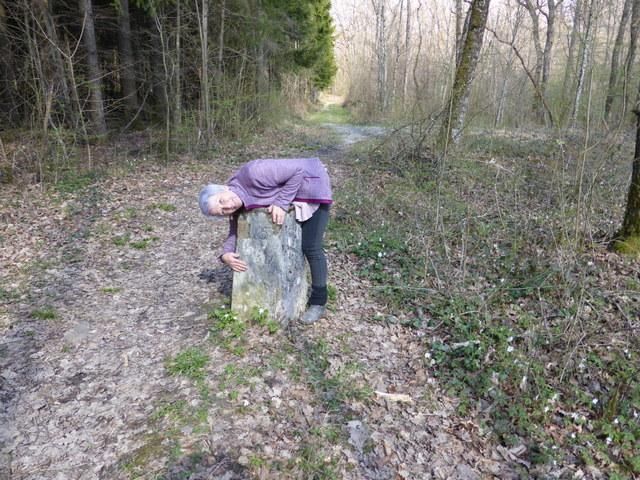 EauVive
Photos d'eau
Jean Reignier