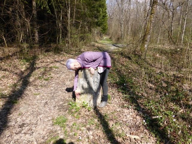 EauVive
Photos d'eau
Jean Reignier