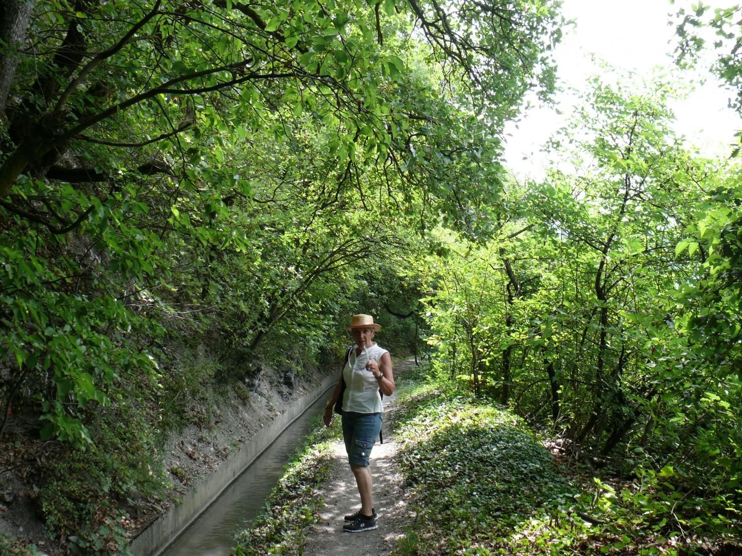 EauVive
Photos d'eau
Jean Reignier