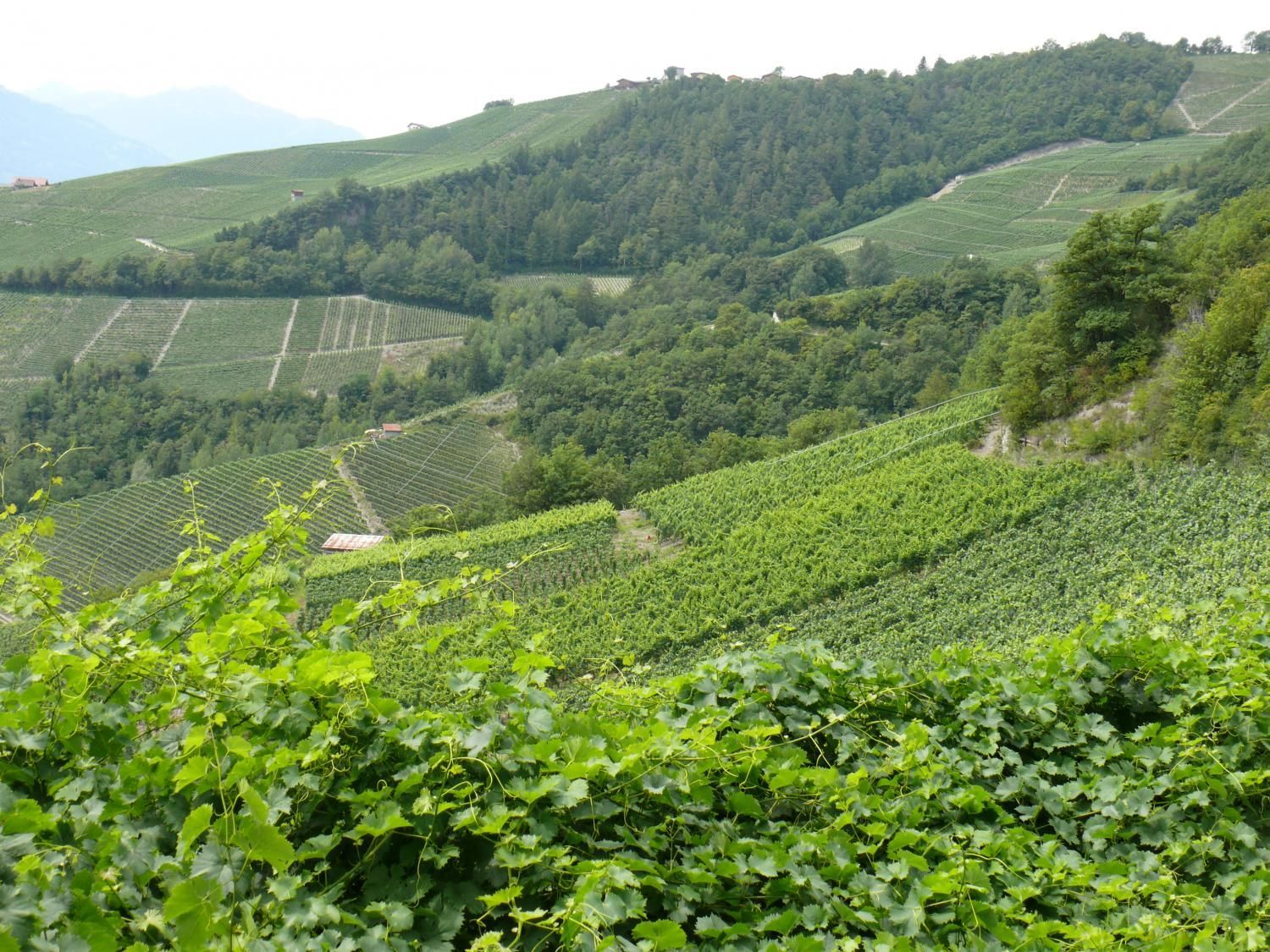 EauVive
Photos d'eau
Jean Reignier