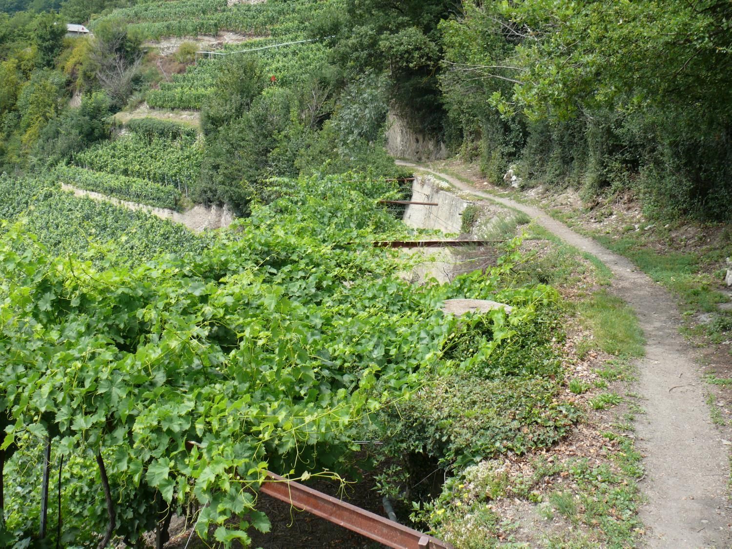 EauVive
Photos d'eau
Jean Reignier