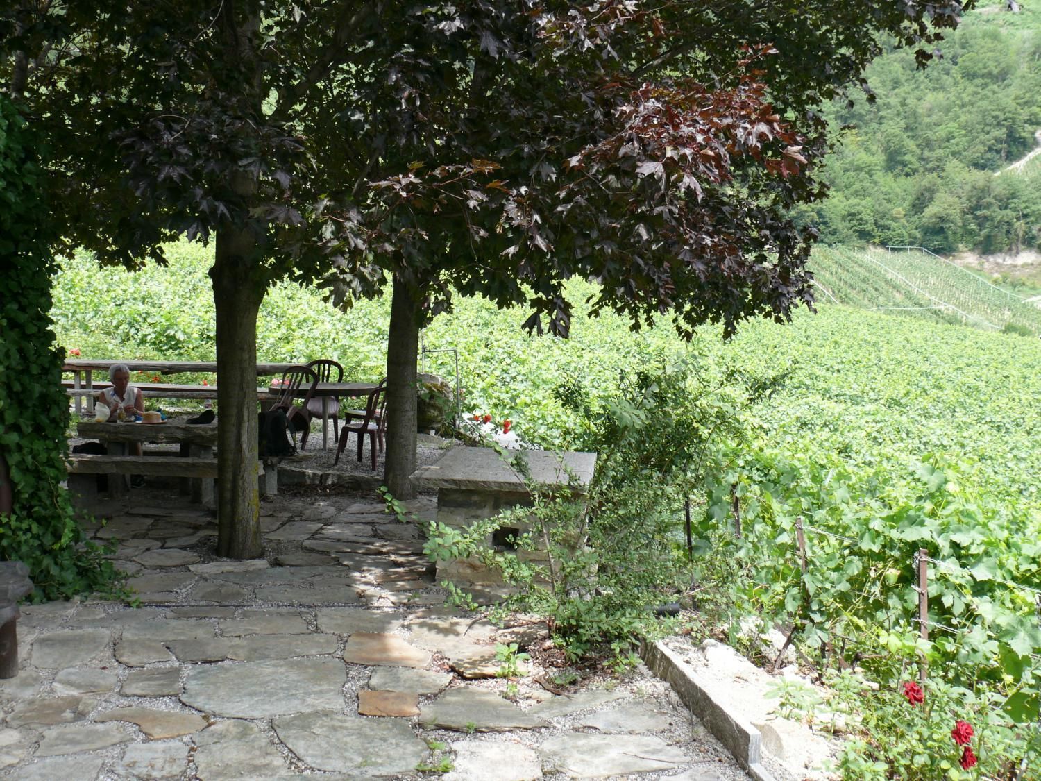 EauVive
Photos d'eau
Jean Reignier