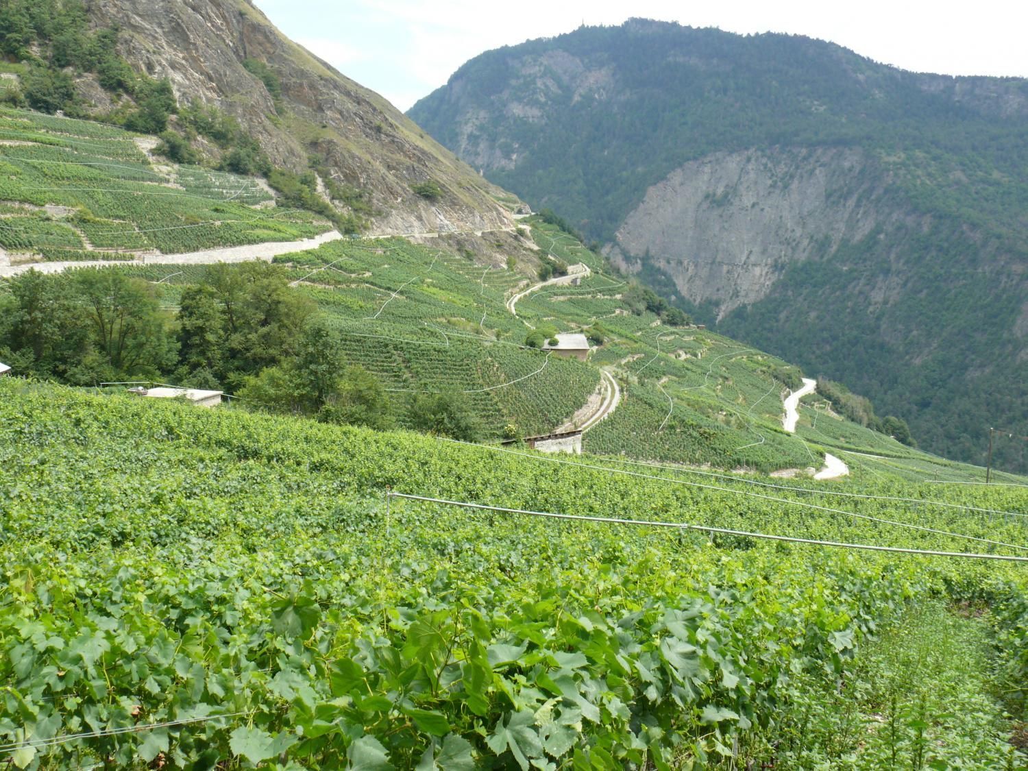 EauVive
Photos d'eau
Jean Reignier