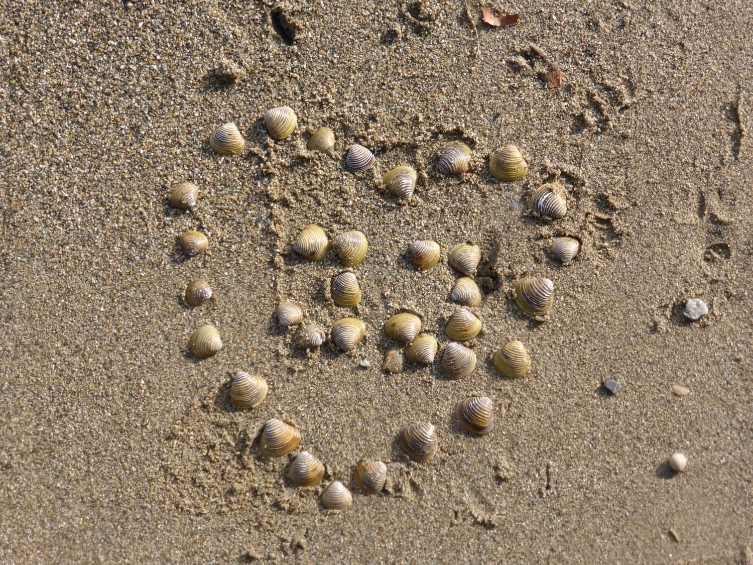 EauVive
Photos d'eau
Jean Reignier