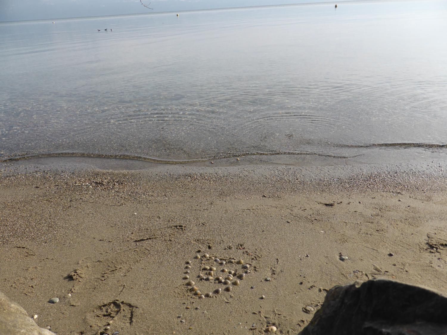 EauVive
Photos d'eau
Jean Reignier