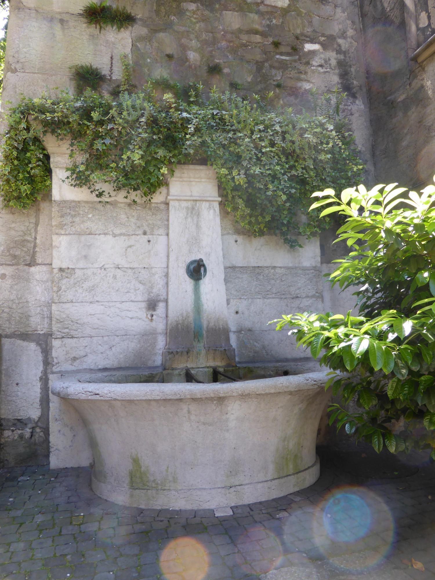 EauVive
Photos d'eau
Jean Reignier