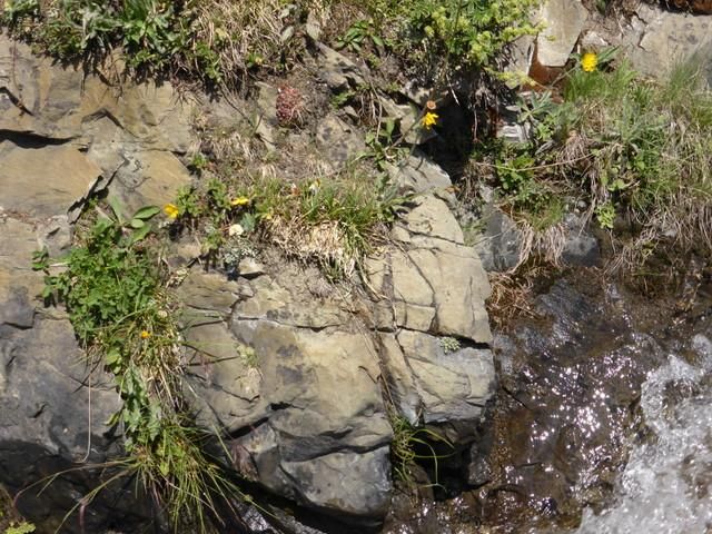 EauVive
Photos d'eau
Jean Reignier