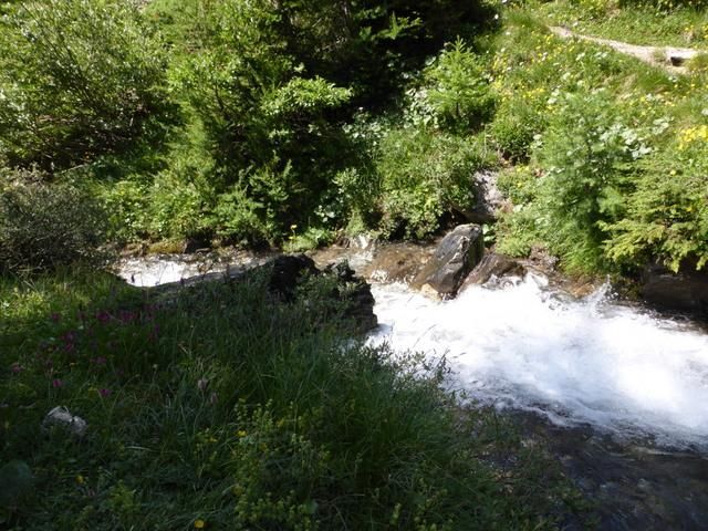 EauVive
Photos d'eau
Jean Reignier