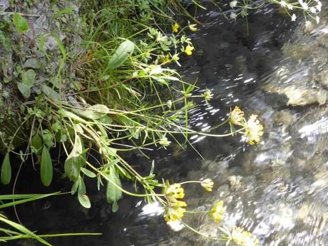 EauVive
Photos d'eau
Jean Reignier