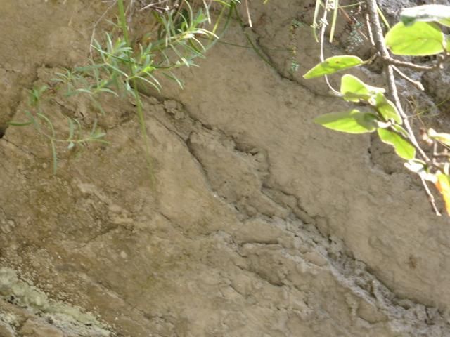 EauVive
Photos d'eau
Jean Reignier