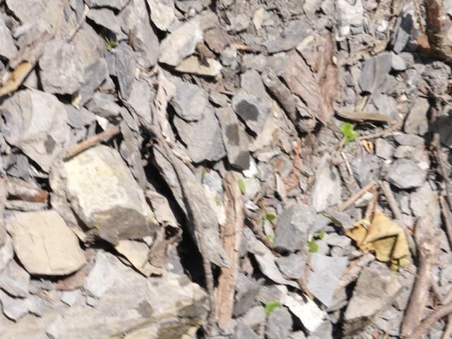 EauVive
Photos d'eau
Jean Reignier