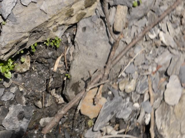 EauVive
Photos d'eau
Jean Reignier