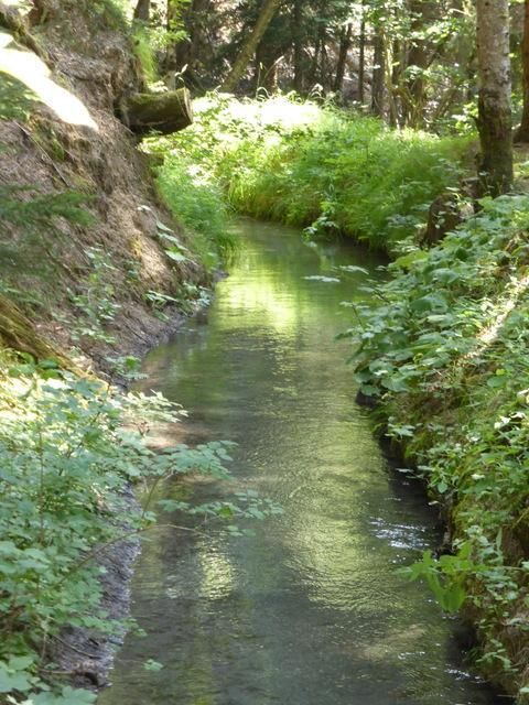 EauVive
Photos d'eau
Jean Reignier