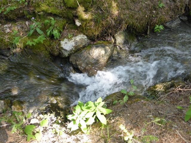 EauVive
Photos d'eau
Jean Reignier